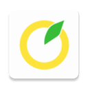 柚子单词安卓版