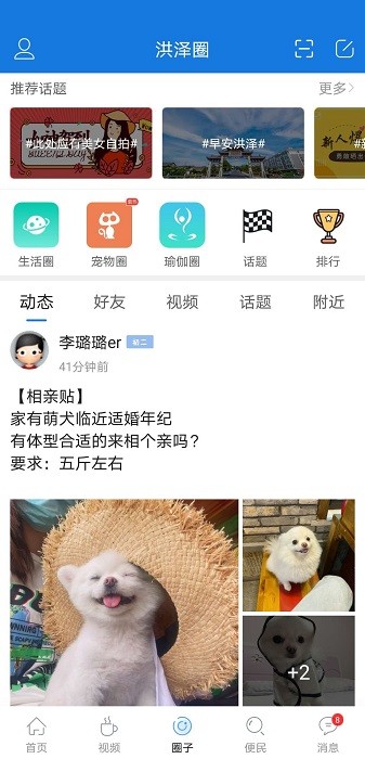 u6d2au6cfdu8bbau575bu65b0u7248appu4e0bu8f7d