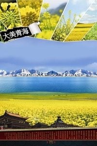 青海旅游手机版下载-青海旅游安卓版下载v1.0