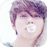 鹿晗桌面主题安卓版