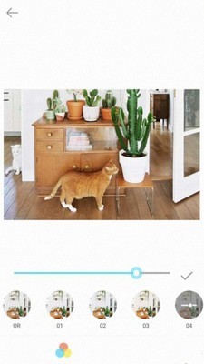智美特效相机app最新版下载-智美特效相机安卓版下载v1.61