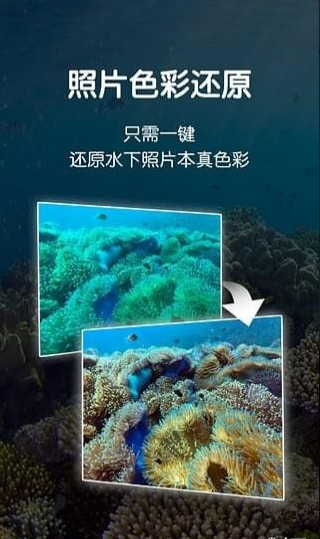 dive+ 最新版下载-Dive+ 安卓版下载v3.6.12