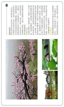 爱成都最新版下载-爱成都安卓版下载v1.0