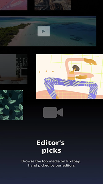 Piebald最新版下载-Piebald安卓版下载v2.0.0