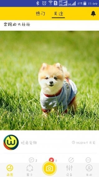 旺角宠物手机版下载-旺角宠物安卓版下载v1.14.17