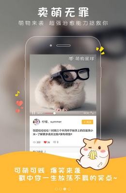 萌物星球最新版下载-萌物星球安卓版下载v1.1.5