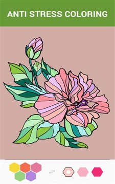 漂亮本色app手机版下载-美丽本色安卓版下载v1.3.1