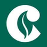 铜烟在线安卓版