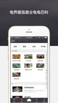 龟界手机版下载-龟界安卓版下载v3.1.0