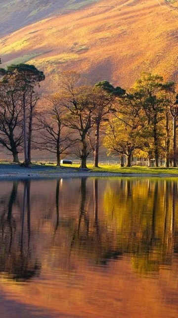 东营摄影网app下载-东营摄影网安卓版下载v5.0