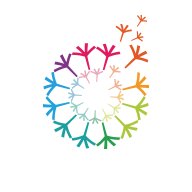 课外大师安卓版