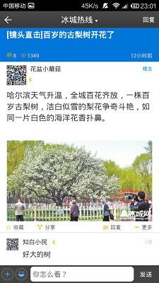 冰城网手机客户端下载-冰城网安卓版下载v1.5.0