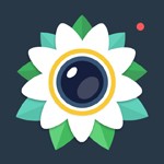 花瓣相机贴纸安卓版