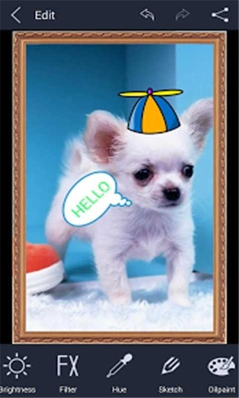 喧彩激动相机app下载-喧彩激动相机安卓版下载v1.0.5