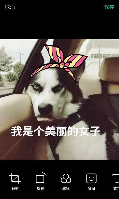 喧彩激动相机app下载-喧彩激动相机安卓版下载v1.0.5