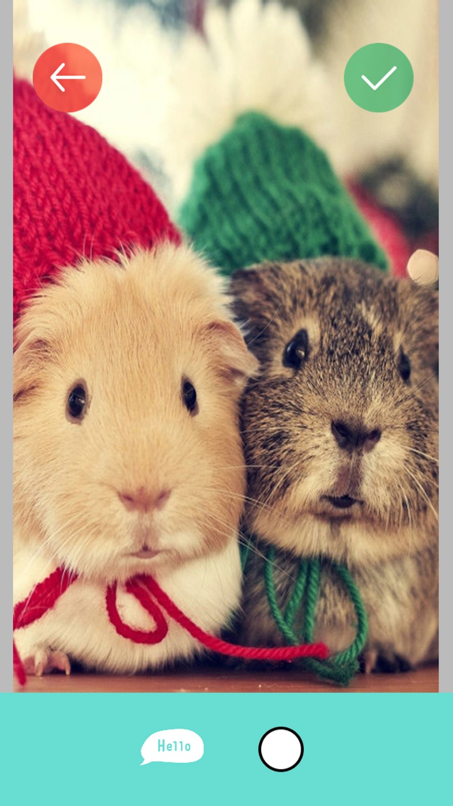 特写美刻app下载-特写美刻安卓版下载v1.5.0