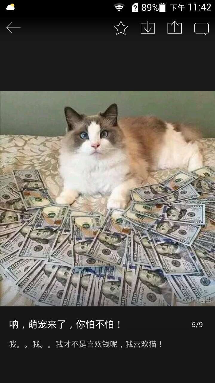 吾萌正式版下载-吾萌安卓版下载v1.0.18