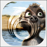 动物相机安卓版