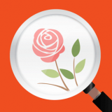 微软识花安卓版