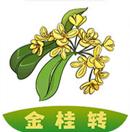 金桂转免费版
