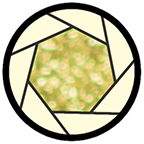 景深计算器 v4.2.0 安卓版