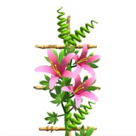 花架大师最新版下载-花架大师游戏下载v0.1