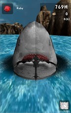 龙的宝藏汉化版