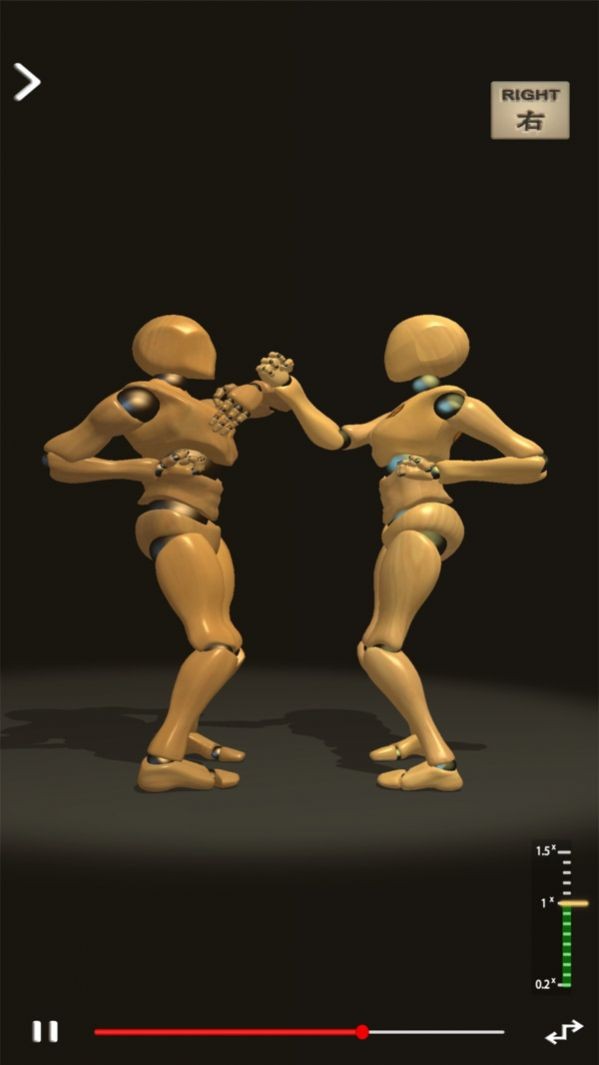 咏春人型师安卓