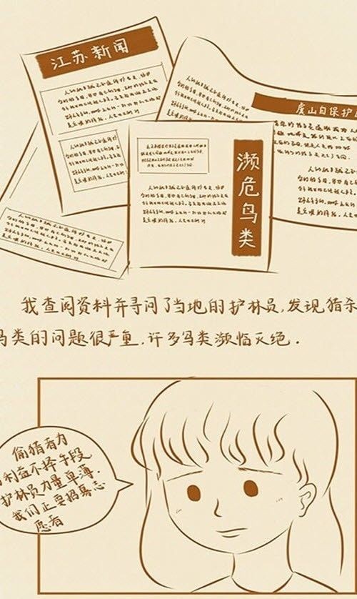 观鸟共栖手游正式版