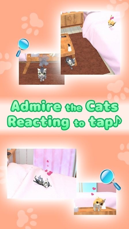 猫是液体中文版