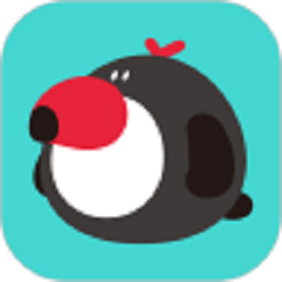 犀鸟课堂安卓免费