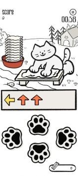 猫猫洗衣安卓版