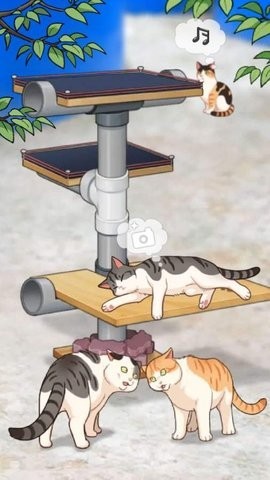 渔场猫咪最新版