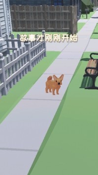 拆家萌宠最新版