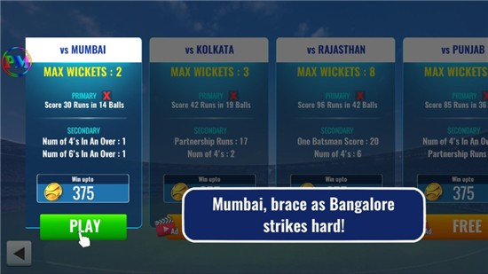 T20板球冠军3D汉化破解版