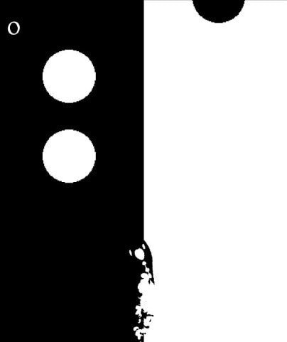 阴阳鱼手机中文版下载-阴阳鱼安卓版下载V1.0.2