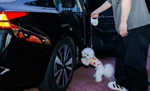 用户最想要滴滴功能出炉,女乘客可选女司机!