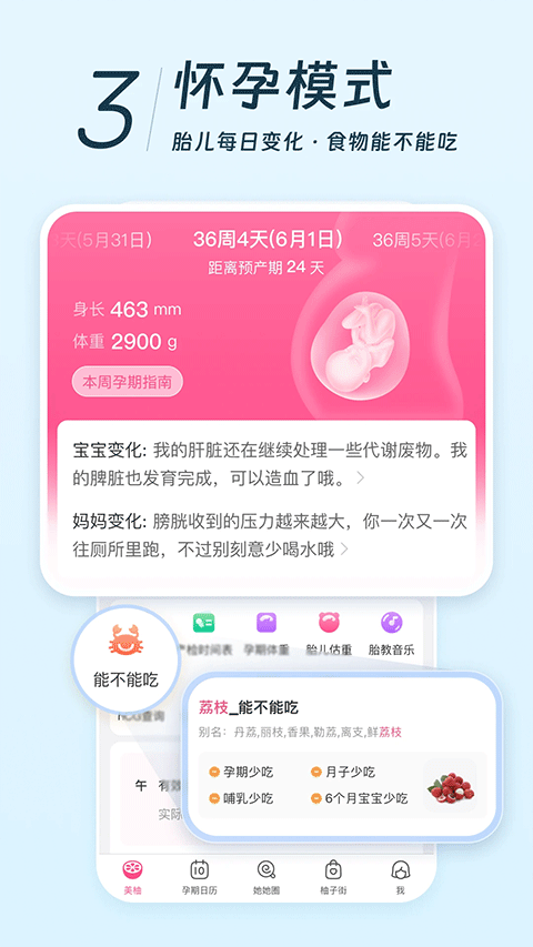 美柚月经app安卓版下载-美柚月经app最新版下载v9.05.0.0